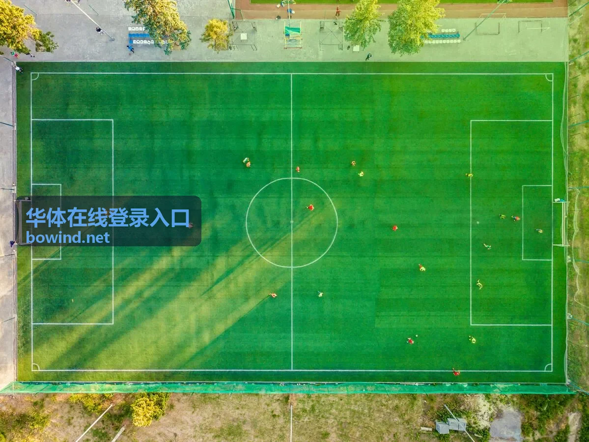 华体在线登录入口验证环节操作示意